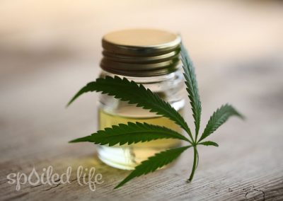 Fast and Furious – Rise of CBD Cannabinoids